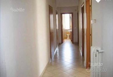 due camere singole x studentessE 