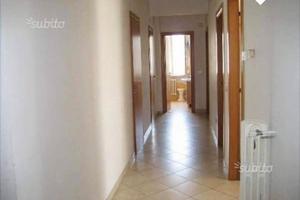 due camere singole x studentessE 