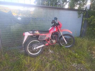 S.C.A.M.B.I..OFantic Raider 125 con vespa di mio g