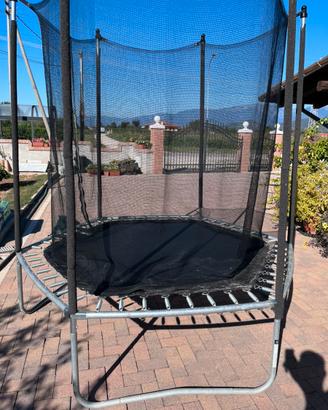 Trampolino elastisco 240
