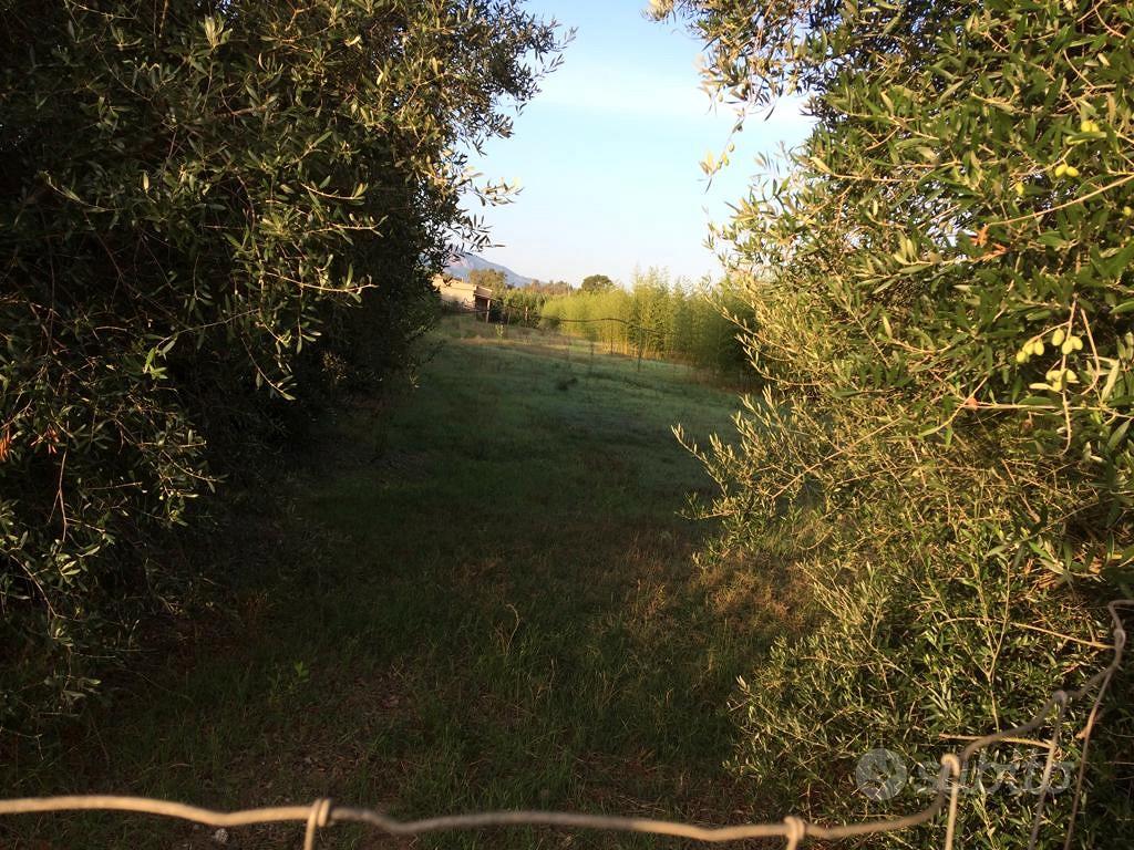 Terreno agricolo Assemini mq. 5.157 - Vista 3
