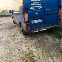 Ducato