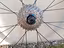 Immagine 2