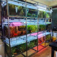 Piante a stelo e galleggianti per acquario