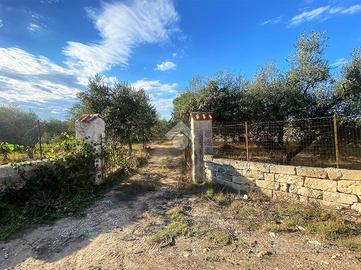 TER. AGRICOLO A ALTAMURA