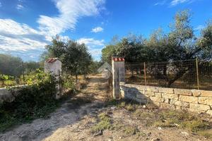 TER. AGRICOLO A ALTAMURA