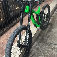 Mtb downhill Professionale