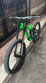 Mtb downhill Professionale