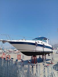 Barca Sea ray 290 soundecer