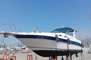 Barca Sea ray 290 soundecer