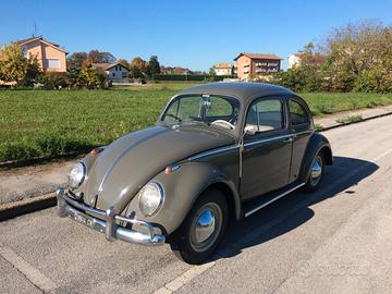 Maggiolino VW Anno 1963