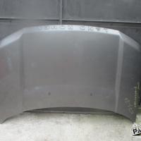 COFANO LAND ROVER FREELANDER 2.2 D 2008 224DT 579/