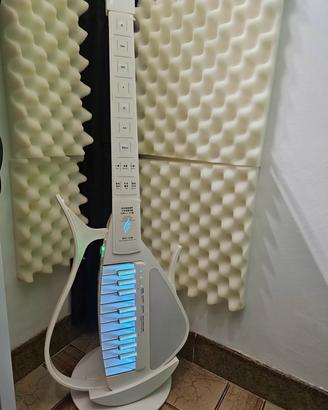 chitarra  e pure casse Bluetooth  per musica
