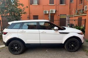 Range Rover Evoque 2.0 TD4 150 CV 5P pure (110 kw