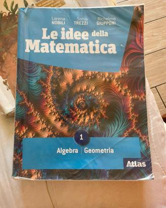Libro matematica