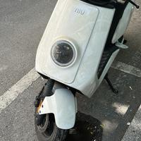 Niu n1s Sport