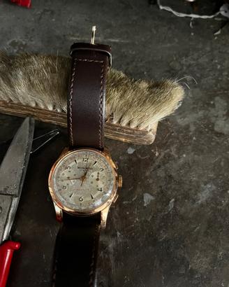 Wonder Watch oro