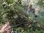 Immagine 20