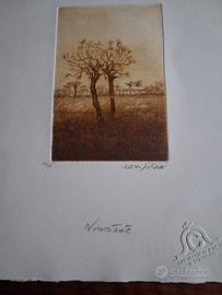 stampe incisioni collezionismo