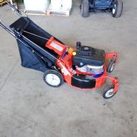 rasaerba Ariens 21