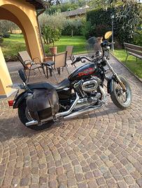  Harley Davidson