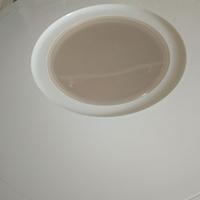 Recipiente per lievitare la pizza o contenitore