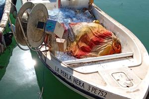 Barca da pesca con licenza