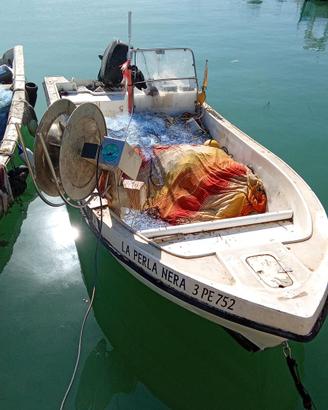 Barca da pesca con licenza