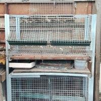 Gabbia per galline