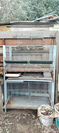 Gabbia per galline