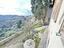 Immagine 13