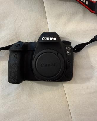 CANON 6D mark2 (3087 scatti)