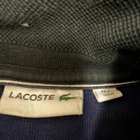 Maglione lacoste