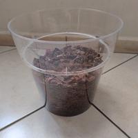  Vaso trasparente per orchidee con substrato
