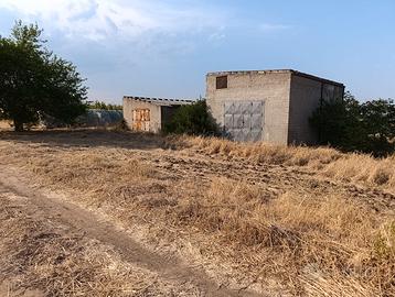 Feroleto