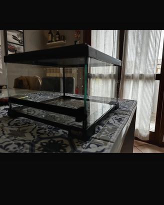 Teca per rettili-roditori