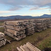 Pali in cemento per vigneto