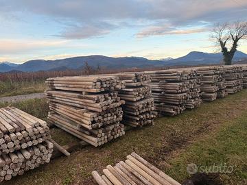 Pali in cemento per vigneto