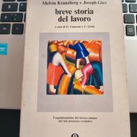 Breve storia del lavoro - Melvin Kransberg