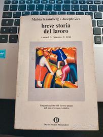 Breve storia del lavoro - Melvin Kransberg
