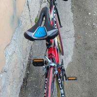 bici sportiva 