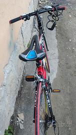 bici sportiva 