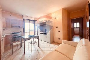 Appartamento - Cecina