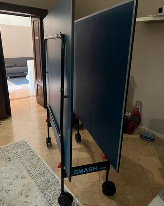 Tavolo da ping pong