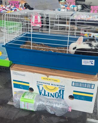 gabbie coniglio varie misura 