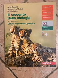 Libro itis