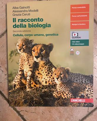 Libro itis