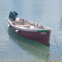 Barca da pesca solo lago