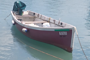 Barca da pesca, lancia gardesana ,solo lago