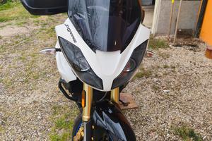 TRIUMPH TIGER 